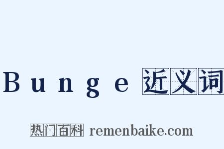 Bunge近义词是什么意思的图片